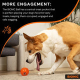 Bionic Ball large dog toy in orange, UK version