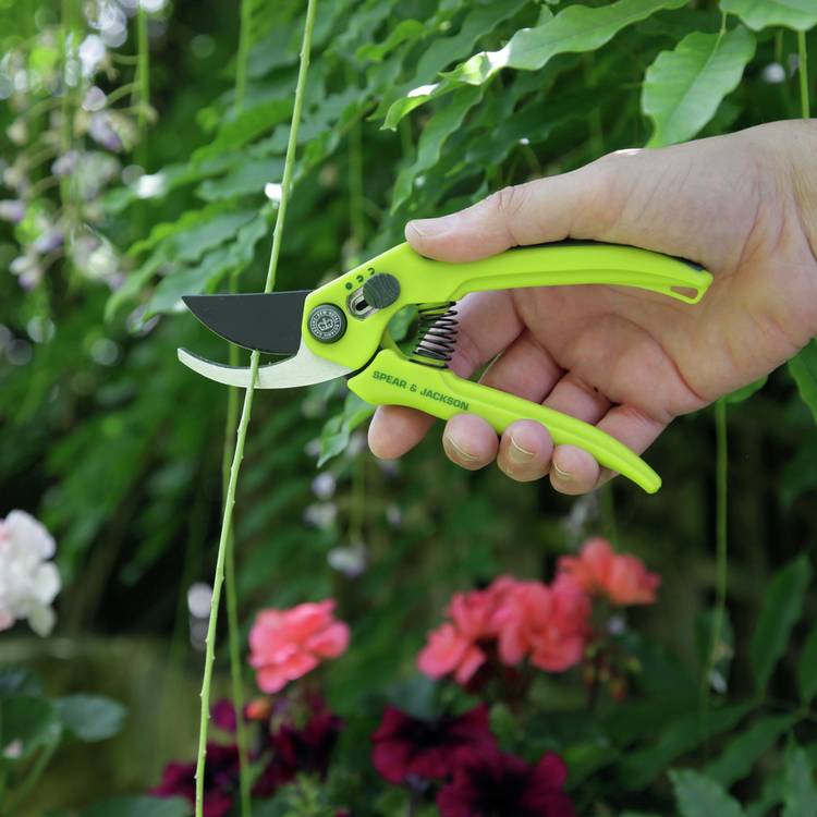 Spear & Jackson Razorsharp secateurs set - British product