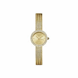 Argos Rosefield Mini Ladies Gold Colour Bracelet Watch- Buy online at McGrocer