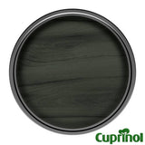 Cuprinol Ducksback wood paint Forest Green 5L, UK version
