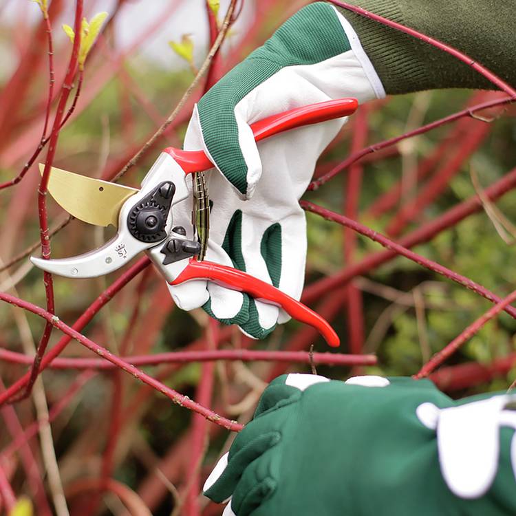Spear & Jackson Kew Gardens kneeler and gloves bundle, imported from UK