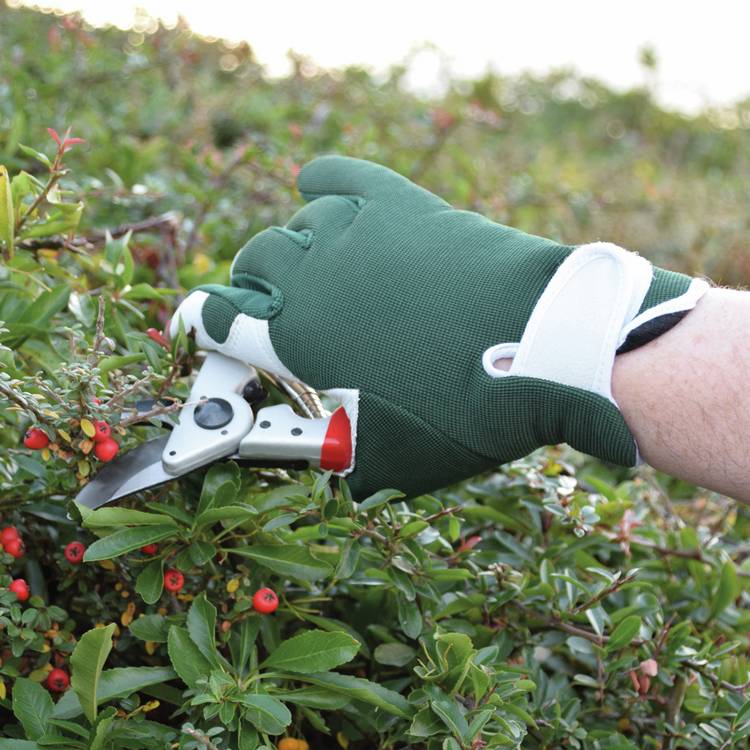 Spear & Jackson Kew Gardens kneeler and gloves bundle, imported from UK