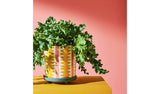 Argos Habitat Stripe Ceramic Yellow Planter with Saucer 14cm- Buy online at McGrocer