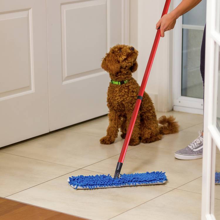 Vileda Pet Pro Flipmop microfibre mop (British brand)