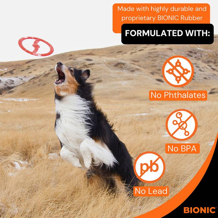Bionic Toss-N-Tug ring dog toy orange floating, UK version