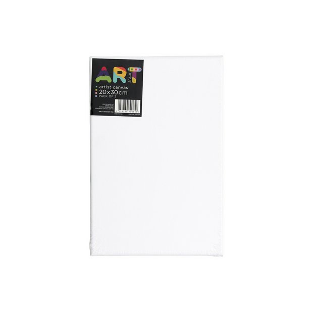 ArtSpace artist canvas pack of 2 20x30cm (British brand)