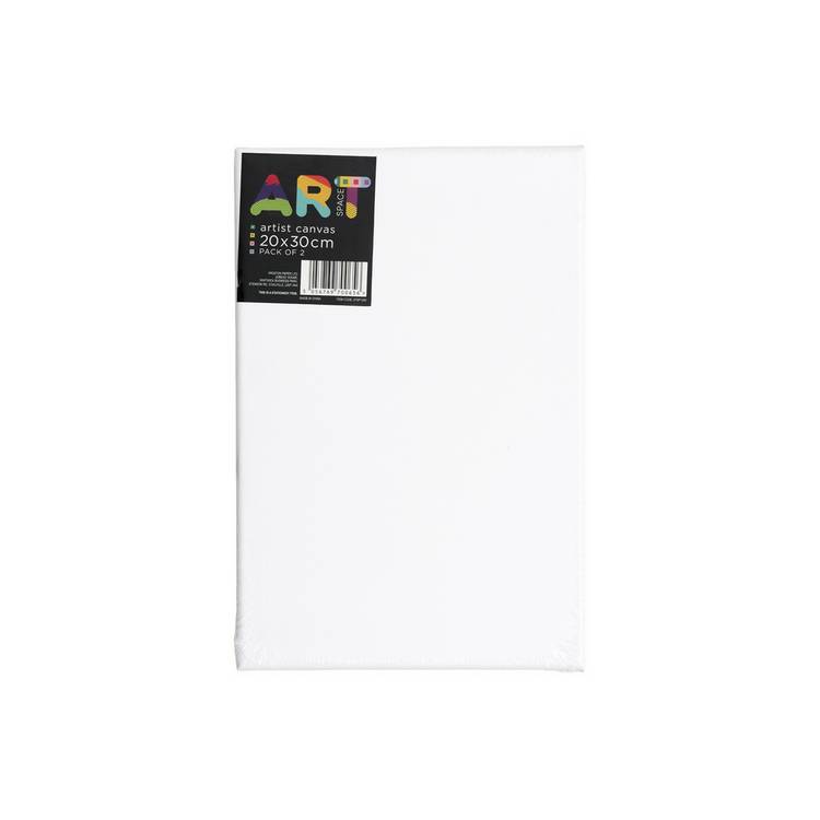 ArtSpace artist canvas pack of 2 20x30cm (British brand)