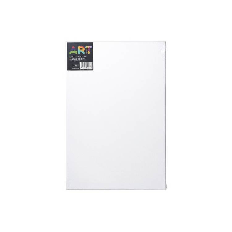 ArtSpace artist canvas 30x45cm pack of 2, imported from the UK