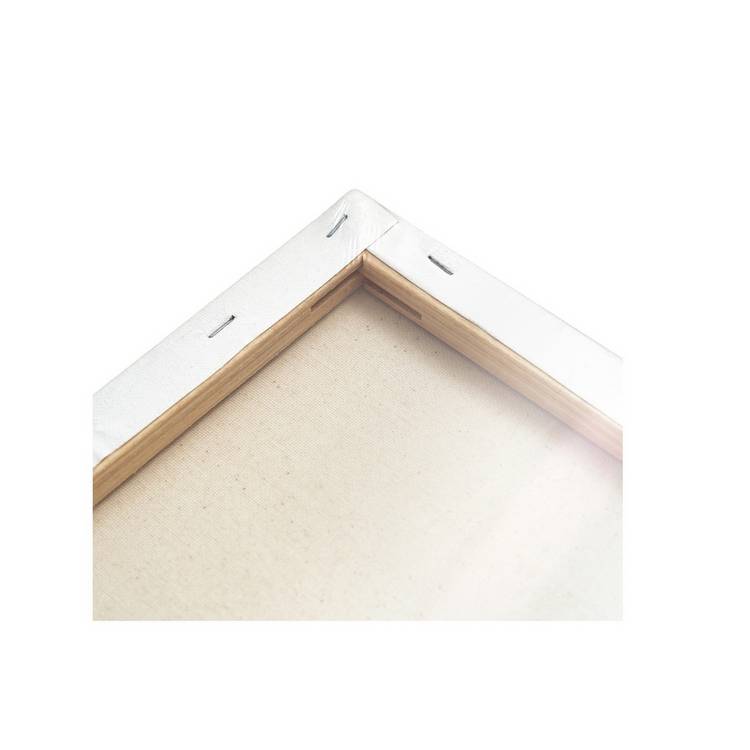 ArtSpace artist canvas 30x45cm pack of 2, imported from the UK