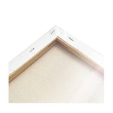 ArtSpace artist canvas 2-pack 45x60cm (British brand)