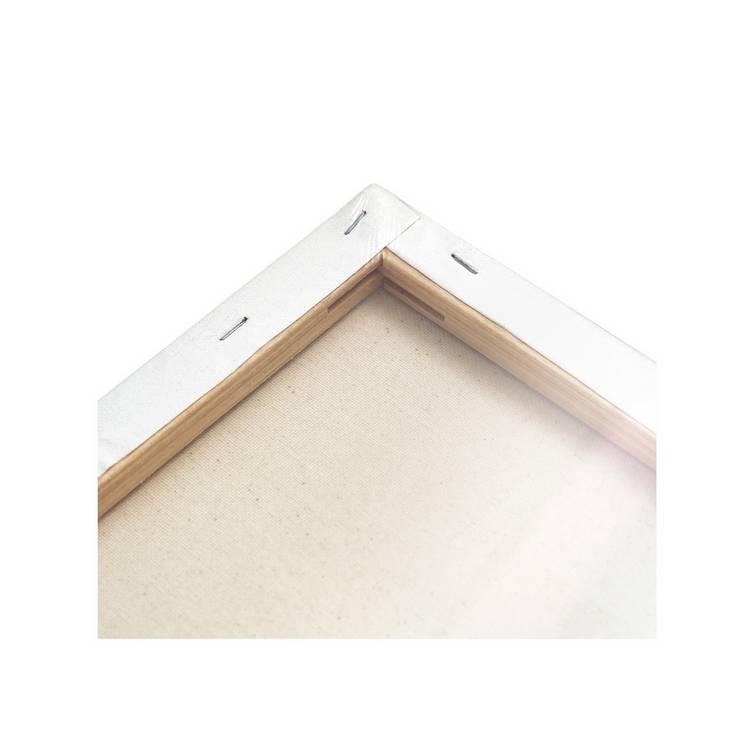 ArtSpace Artist Canvas pack of 2 60x80cm, imported from the UK