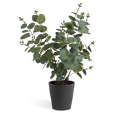 Habitat artificial eucalyptus plant in matte black pot 48cm, imported from the UK