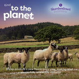 Slumberdown Wonderful Wool duvet single - British product