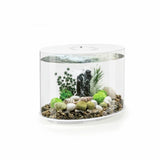 Argos biOrb Loop Aquarium with Multi-Colour Light - White- Buy online at McGrocer
