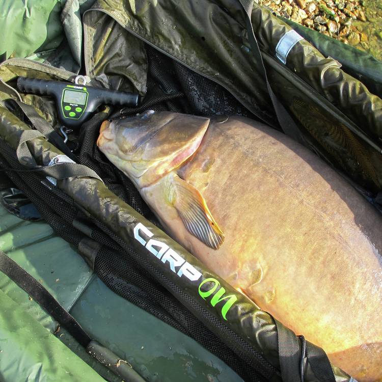 Carp On Fishing deluxe floating weigh sling (British brand)