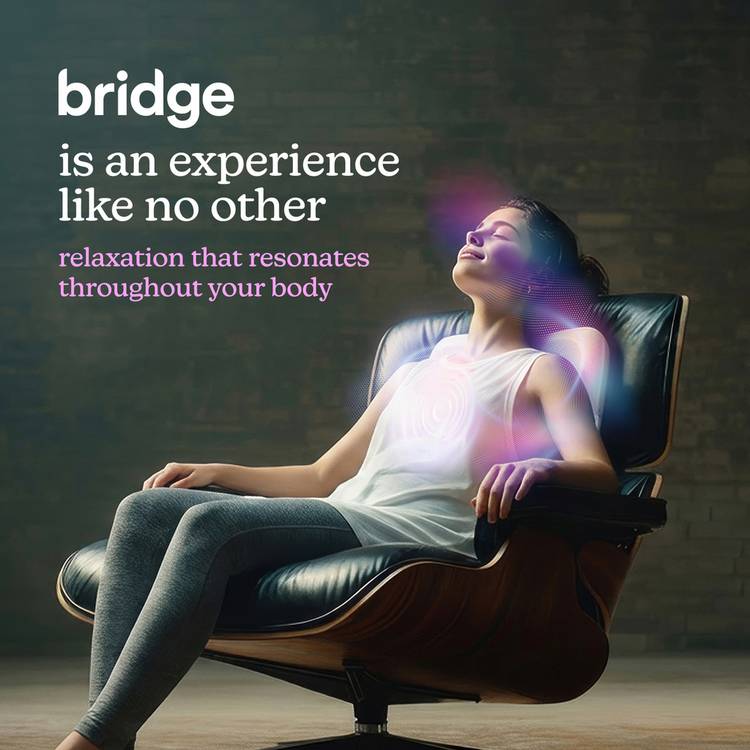 Homedics Bridge Massage Cushion vibroacoustic therapy cushion, UK version