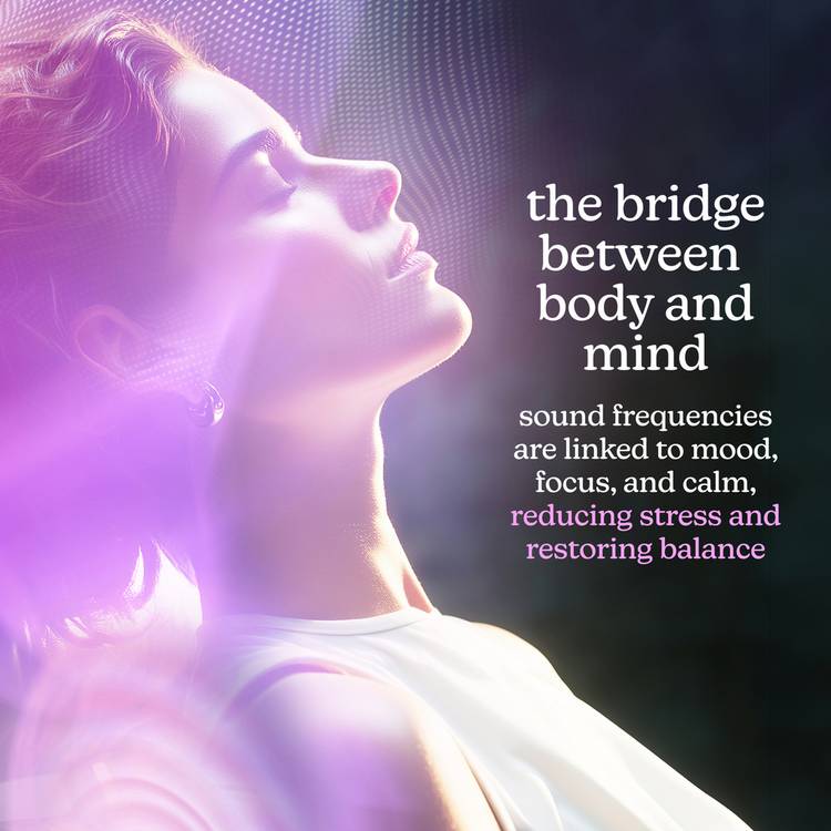 Homedics Bridge Massage Cushion vibroacoustic therapy cushion, UK version