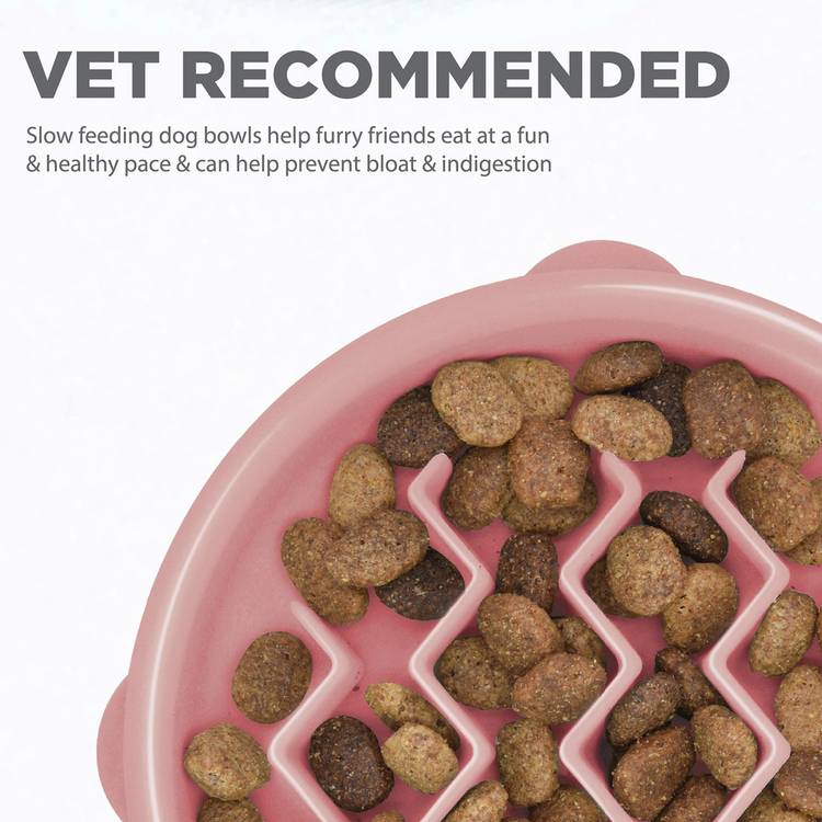 Outward Hound Fun small dog feeder 15cm, UK version