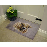 Bree Merryn brown Highland Cow doormat 50x75cm, UK version