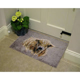 Argos Bree Merryn Blair Highland Cow Brown Doormat 50x75cm- Buy online at McGrocer