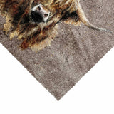 Bree Merryn brown Highland Cow doormat 50x75cm, UK version