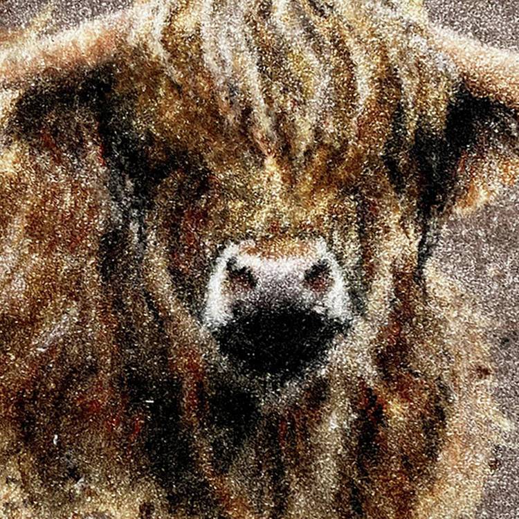 Bree Merryn brown Highland Cow doormat 50x75cm, UK version
