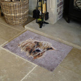 Bree Merryn brown Highland Cow doormat 50x75cm, UK version