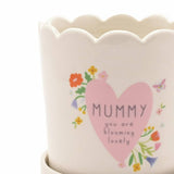 Widdop Love Life ceramic plant pot Mummy - British product