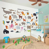 Argos Origin Murals Animal Collection Multicolour Wall Mural W50cm x L19.6m- Buy online at McGrocer