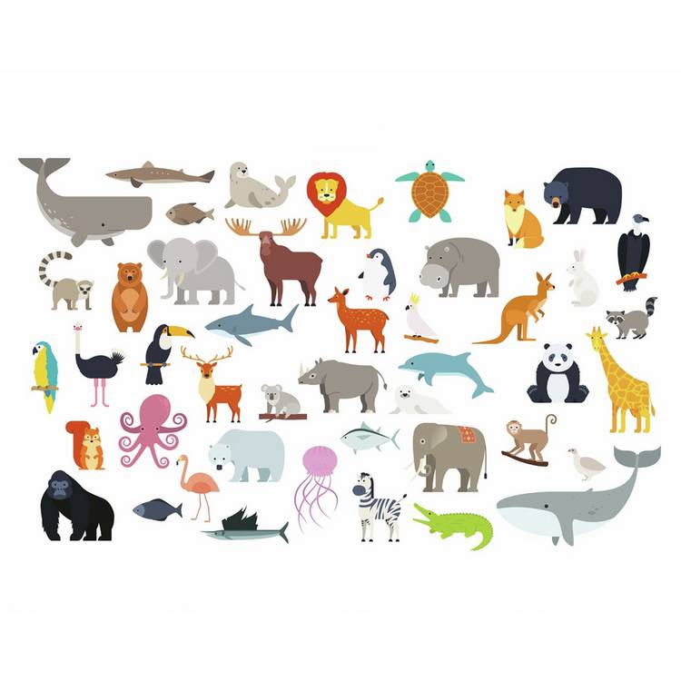 Origin Murals Animal Collection wall mural 50cm x 19.6m - British product