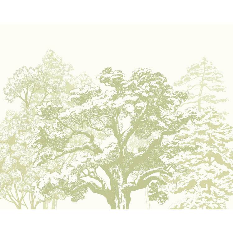Origin Murals etched trees apple green wall mural, UK version