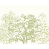 Origin Murals etched trees apple green wall mural, UK version