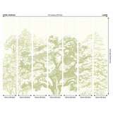 Origin Murals etched trees apple green wall mural, UK version