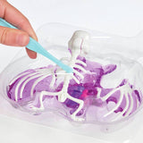 Science Mad Squishy Dissection Kit frog and bat, UK version
