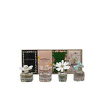 Marc Jacobs perfume gift set mini collection 17ml, imported from the UK