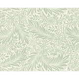 Origin Murals Trailing Ferns Sage Green wall mural (British brand)