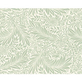 Argos Origin Murals Trailing Ferns Sage Green Wall Mural- Buy online at McGrocer