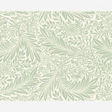 Origin Murals Trailing Ferns Sage Green wall mural (British brand)