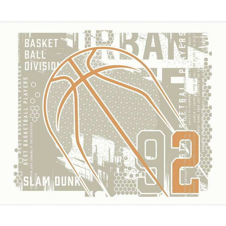 Origin Murals basketball wall mural grey abstract design imported from the UK