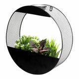 Argos Streetwize Garden Metal Black Solar Wall Planter, 35cm- Buy online at McGrocer