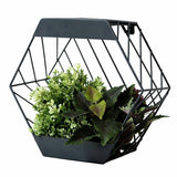 Argos Streetwize Hexagonal Metal Solar Wall Planter 29cm- Buy online at McGrocer
