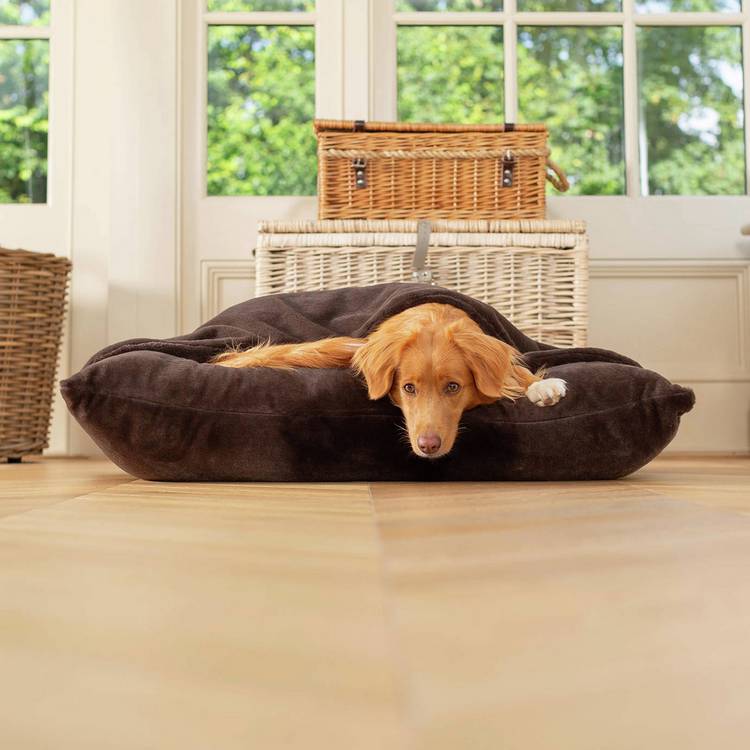 Lords & Labradors Sleepy Burrows Dusk large dog bed (British brand)