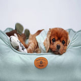 Argos Banbury & Co Seafoam Corduroy Box Bed for Small Dogs- Buy online at McGrocer