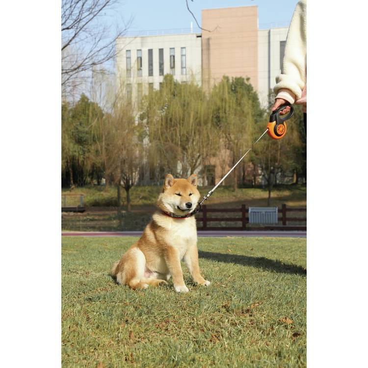M-PETS retractable dog lead medium 5m, imported from the UK