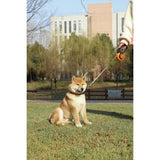 M-PETS retractable dog lead medium 5m, imported from the UK