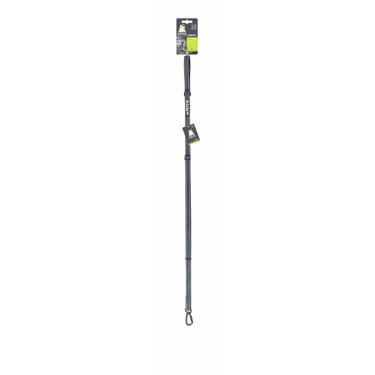 M-PETS hiking dog lead electric blue 2m, imported from the UK