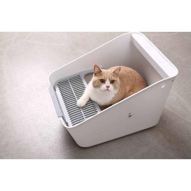 PETKIT Pura Air cat litter tray white, imported from the UK