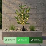 Streetwize olive tree solar lights pack of 2, UK version