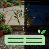Streetwize olive tree solar lights pack of 2, UK version