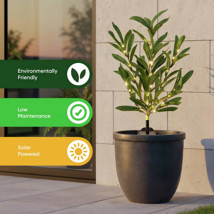 Streetwize olive tree solar lights pack of 2, UK version